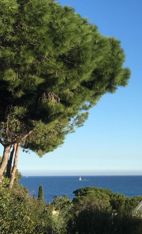 Chambres D'Hotes Vue Mer Mer A 2 Min A Pied Sainte-Maxime Exterior foto